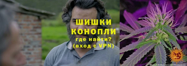 ПСИЛОЦИБИНОВЫЕ ГРИБЫ Заволжск