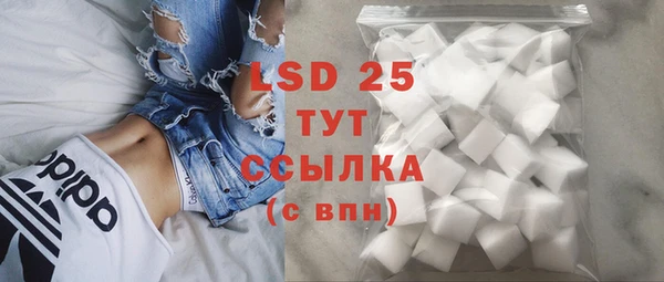 ПСИЛОЦИБИНОВЫЕ ГРИБЫ Заволжск