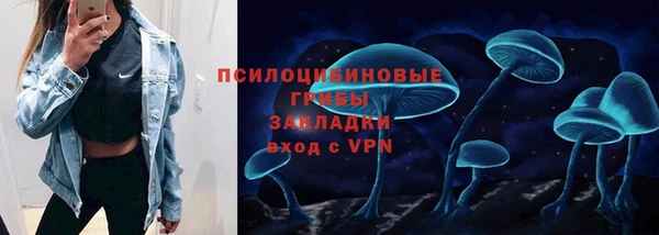 ПСИЛОЦИБИНОВЫЕ ГРИБЫ Заволжск