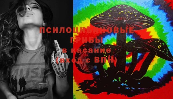 ПСИЛОЦИБИНОВЫЕ ГРИБЫ Заволжск