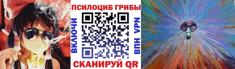 Купить где  Очёр  Псилоцибиновые грибы прущие грибы 